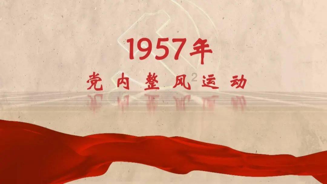 解救金刚鹦鹉
